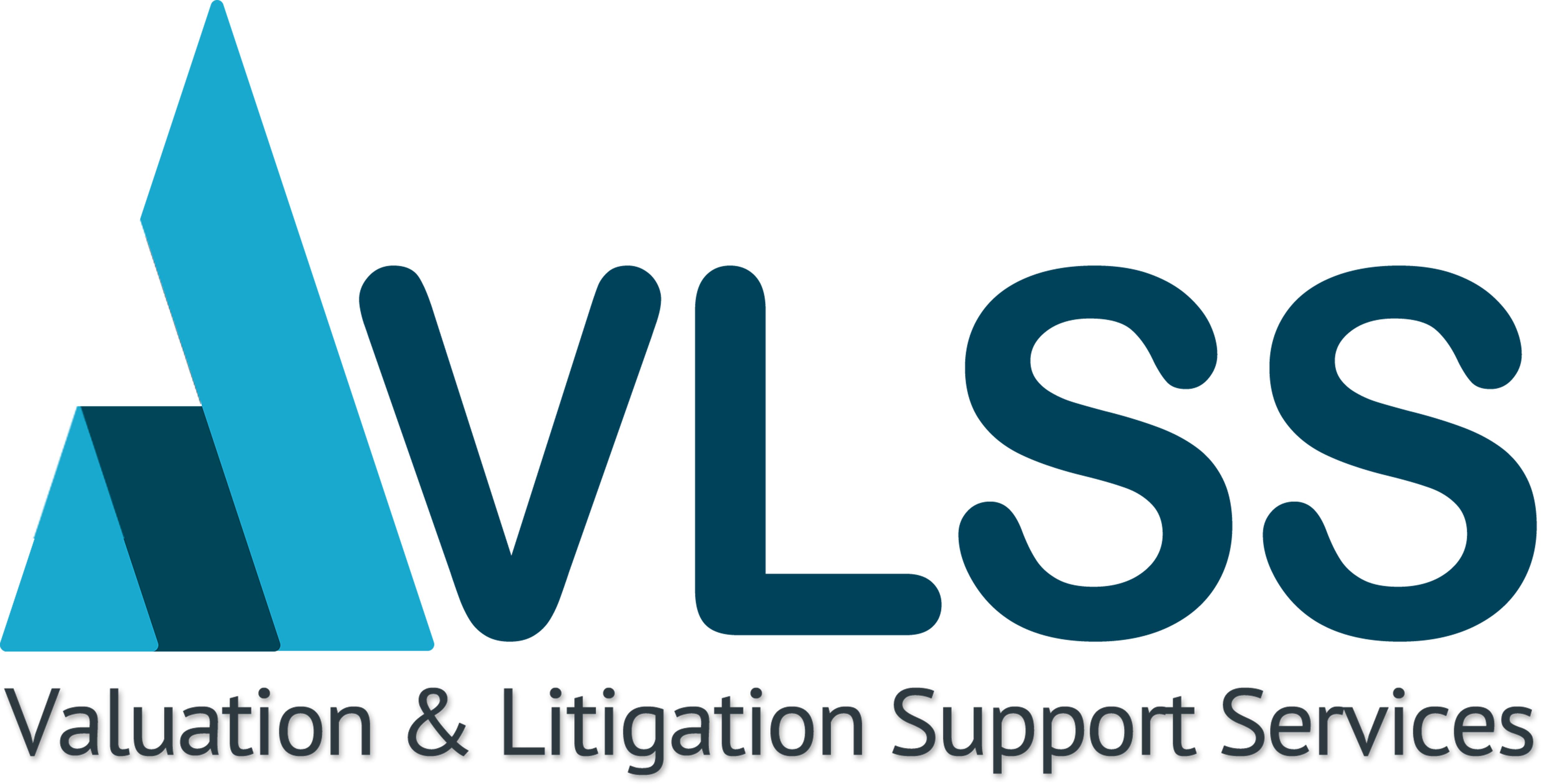 Valuation and Litigation Support Services (VLSS) Logo
