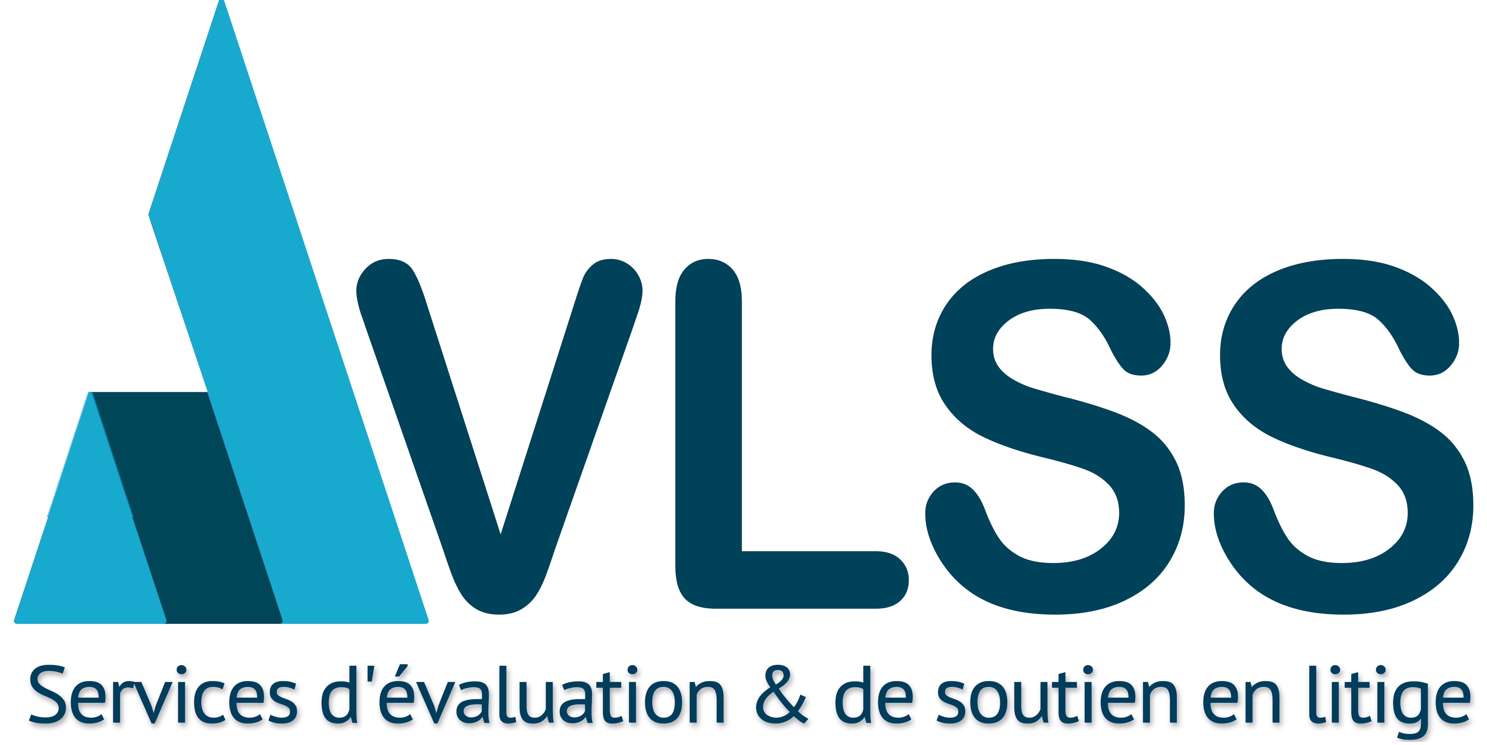 VLSS Logo
